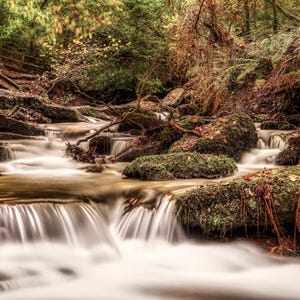 Può includere: Una cascata scende a cascata attraverso una lussureggiante foresta verde, creando una scena serena e tranquilla.