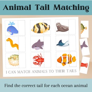 May include: An educational game for kids featuring ocean animals. The game includes a whale, a fish, a seal, a pufferfish, a lobster, a clownfish, an eel, a shark, a stingray, and their corresponding tails. The game is designed to help children learn about ocean animals and their features.