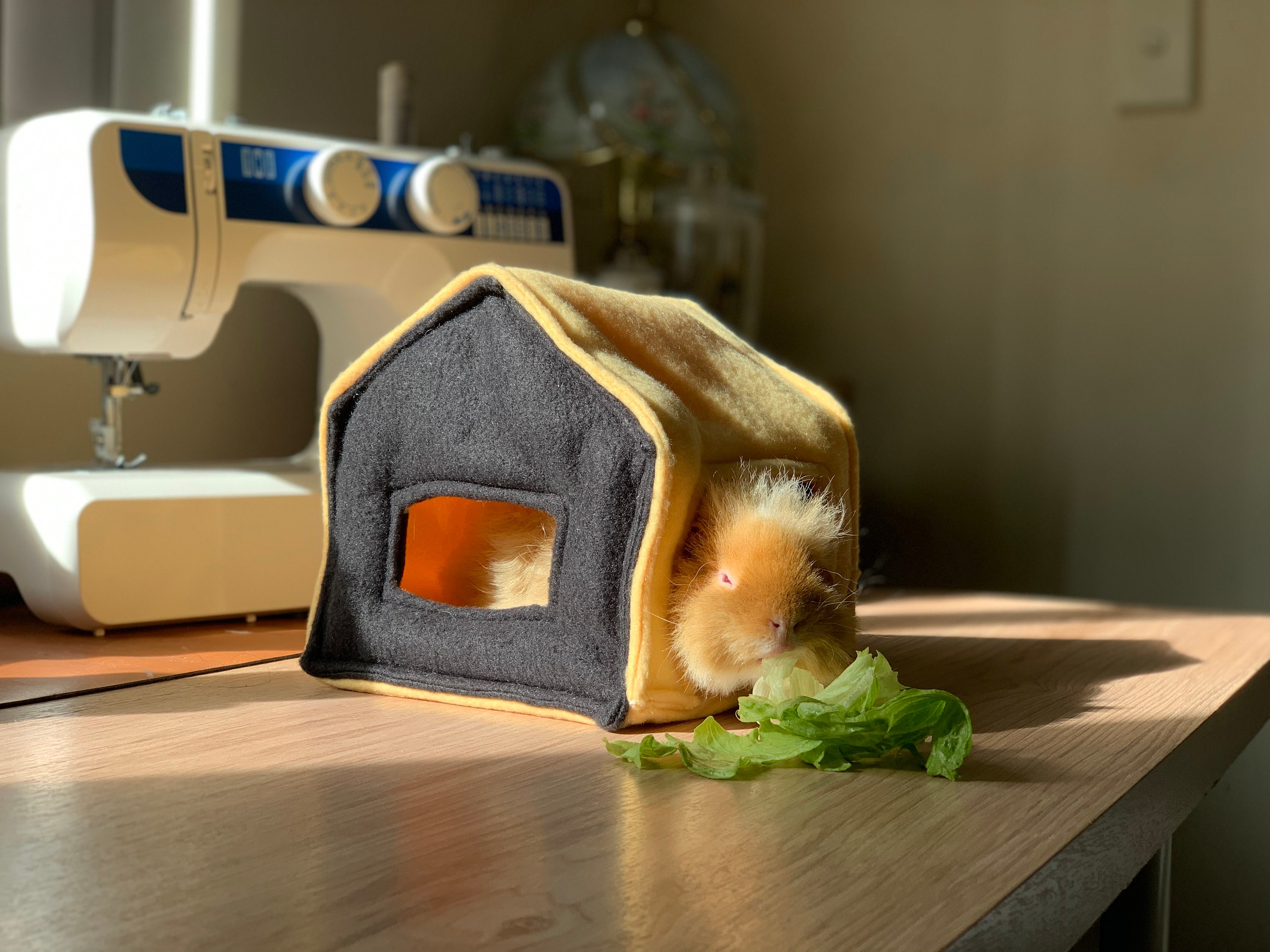 Guinea pig fleece house sale