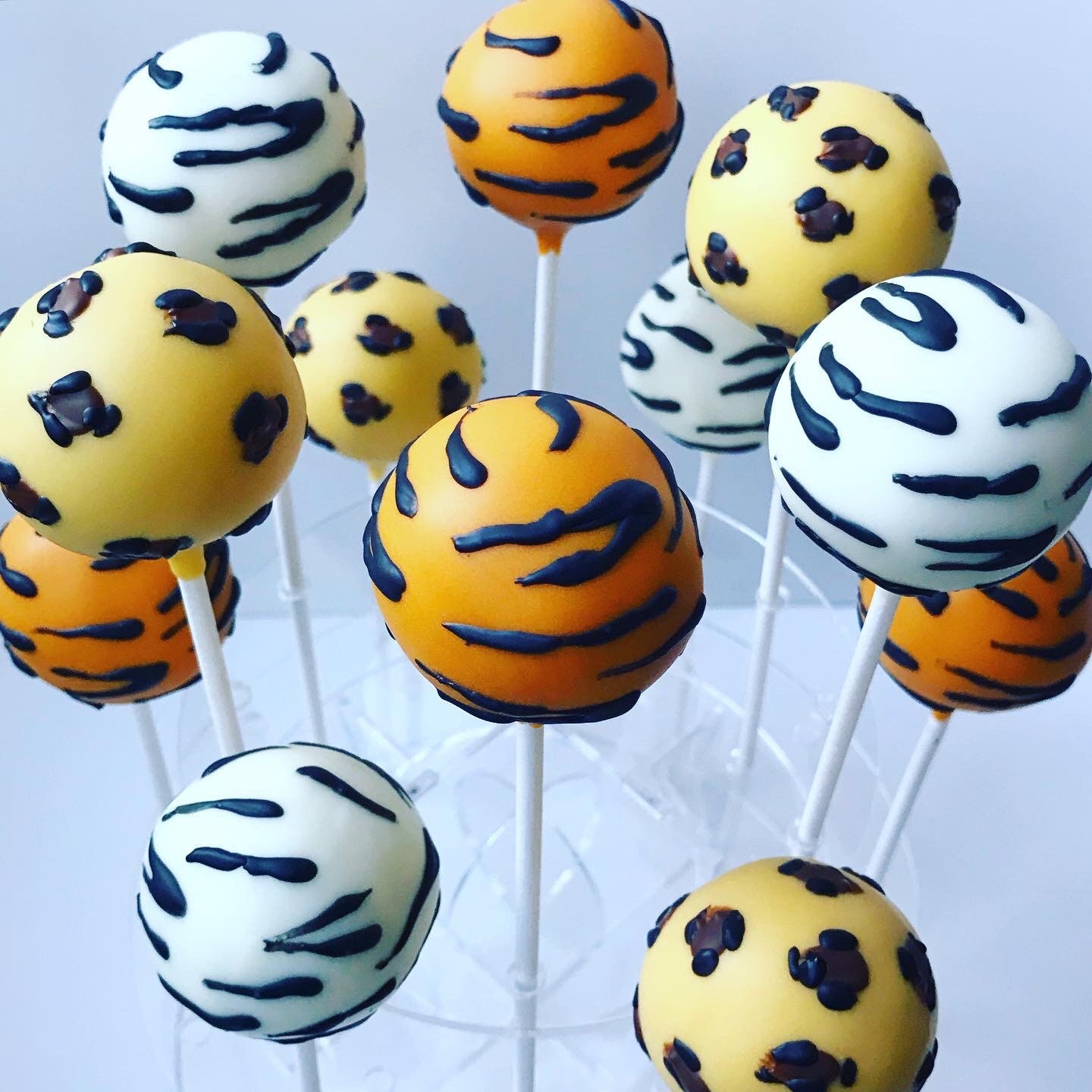 Animal Print Jungle Safari Cake Pops Etsy UK