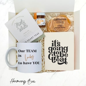 Corporate Gifts for New Hire - Gift Box - Welcome To The Team - Appreciation Gift - Recognition Gift Box - Welcome To Work Box -Welcome Gift