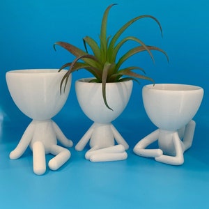 May include: Three white ceramic planters shaped like sitting figures. The planter in the center has a green air plant growing in it.