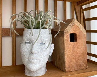 Head Face Planter para plantas aéreas o suculentas