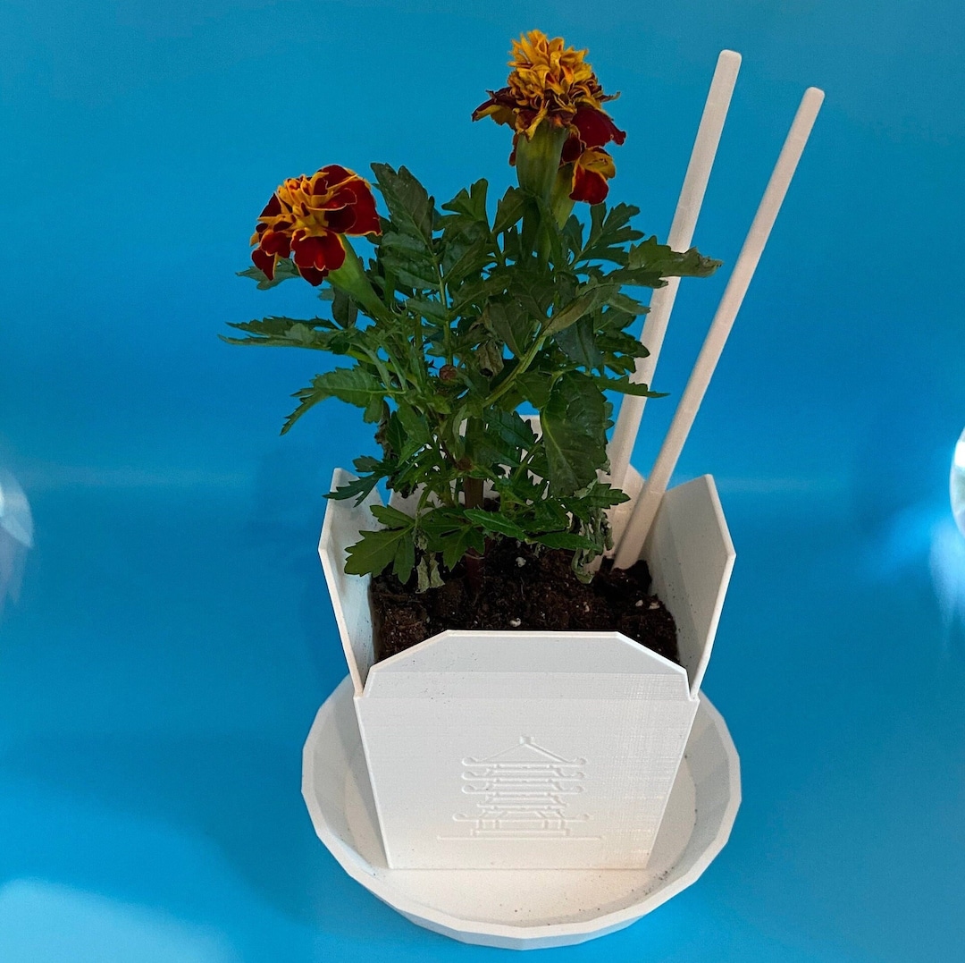 Chinese Takeout Planter With Chopsticks and Drain Dish .just the Right