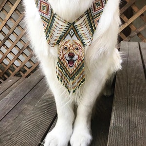 Halskette mit Hundeperlen/Afrikanische Halskette/Handmad Halskette/Elegant/bunt/kulturell/Massai Schmuck/Perlen halskette/lange Halskette/Mit Ohrringen