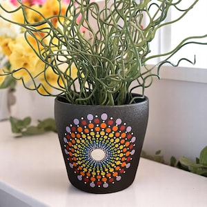 May include: A black terracotta planter with a rainbow mandala design painted on the front. The planter is filled with a green leafy plant.
