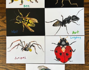 Cartas de insectos: Las 7