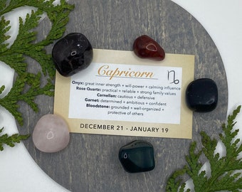 Steinbock - Sternzeichen Crystal Kit