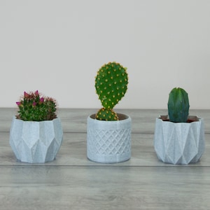 3er Set Mini 3D gedruckte Blumentöpfe: Geometrisches, modernes Dekor