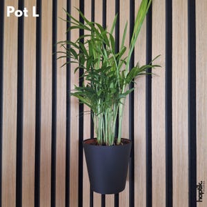 Könnte beinhalten: Eine Topfpflanze mit langen, grünen Blättern in einem schwarzen Topf. Der Topf hängt an einer Holzwand mit vertikalen schwarzen Streifen. Der Text "Pot L" befindet sich in der oberen linken Ecke.