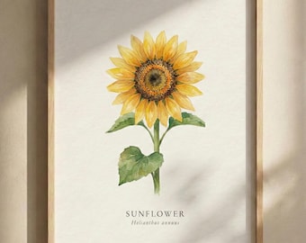 Kansas State Sunflower Digital Print, Sunflower Wall Art, Minimal Botanical Poster