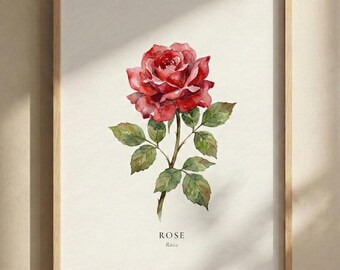 New York State Flower Rose Print, Minimalist Watercolour Botanical Wall Art