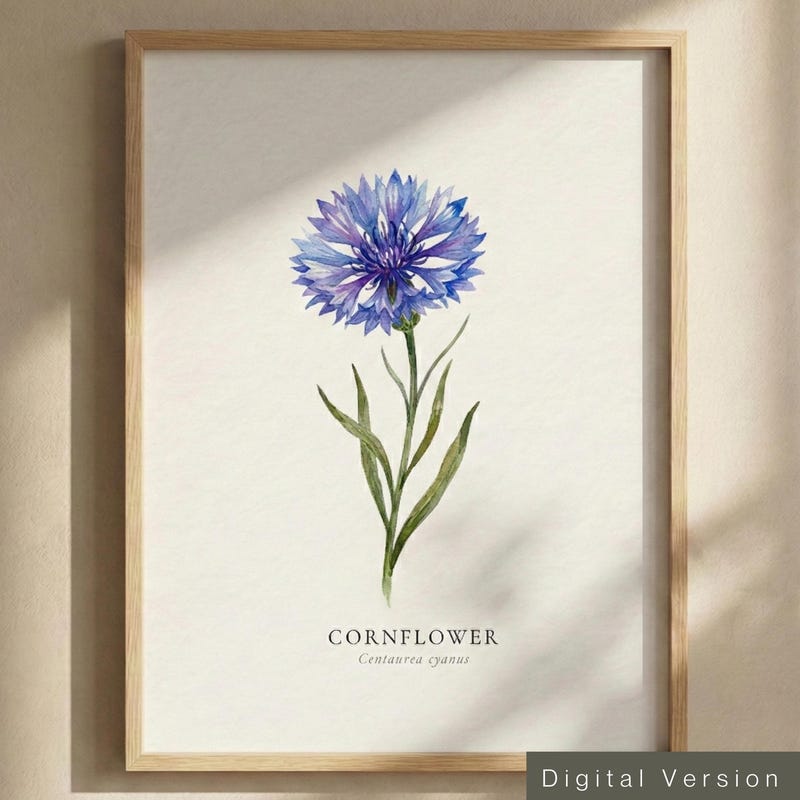 German Cornflower Art - Etsy UK