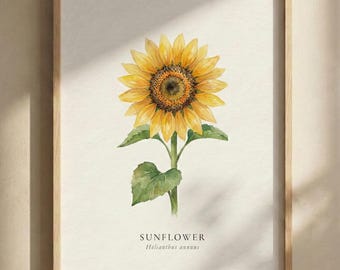 Kansas State Sunflower Print, Sunflower Wall Art, Minimal Botanical Poster, Framed or Unframed