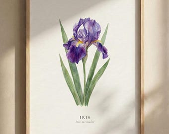 Tennessee State Iris Digital Print, Minimal Floral Art Print, Flower Poster, Nature Wall Decor