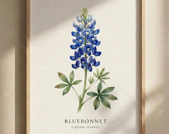 Texas State Bluebonnet Druck, Texas Wildblumen Kunst, Minimal Natur Poster, gerahmt oder ungerahmt
