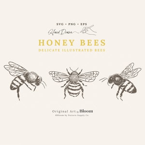 Honey Bees - Delicate Illustrated Bees, SVG, PNG, EPS, Clipart, Cricut, Ricamo, Incisione, Schizzo disegnato a mano, disegno illustrativo, logo