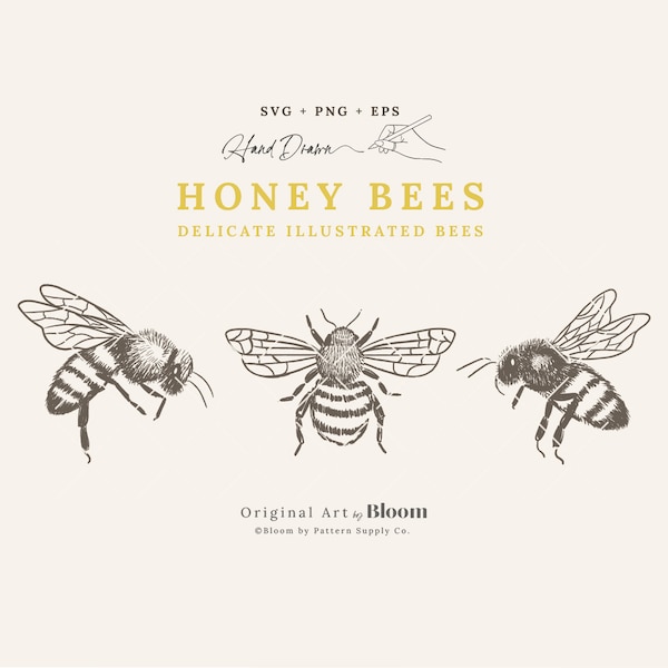 Honey Bees - Delicate Illustrated Bees, SVG, PNG, EPS, Clipart, Cricut, Embroidery, Engraving, Hand-drawn sketch, illustration drawing, logo