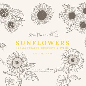 Zonnebloemen Geïllustreerde Stengels & Boeketten, SVG, PNG, EPS, Clipart, Cricut, Borduurwerk, Gravure, Handgetekend, bloemen enkele stengel losse schets