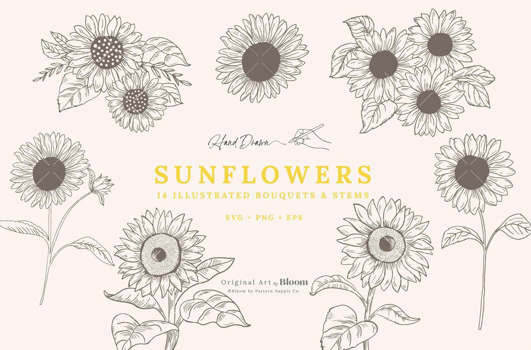 Tournesols Tiges et bouquets illustrés, SVG, PNG, EPS, Clipart, Cricut, Broderie, Gravure, Dessiné à la main, fleurs à tige unique esquisse en vrac