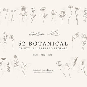 Botanical Dainty Illustrated Florals, SVG, PNG, EPS, Clipart, Cricut, Embroidery, Engraving, Hand-drawn, flowers, single stem, loose sketch