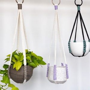 Minimalist No Tassel Macrame Plant Hanger | Modern Slim Design with Customizable Accent Colors -  No Tail