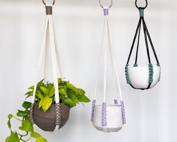 Minimalist No Tassel Macrame Plant Hanger with Customizable Accent Colors -  No Tail Hanging Plant Holder, Pet friendly plant hanger