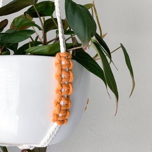 Op de afbeelding: Een witte keramische plantenpot in een macram&eacute; hanger van witte katoenen koorden met feloranje geknoopte secties. Een groene plant met puntige bladeren groeit uit de pot, die wordt opgehangen aan de witte koorden.