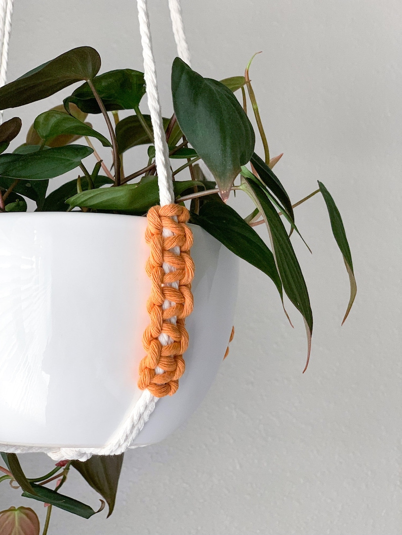 Op de afbeelding: Een witte keramische plantenpot in een macram&eacute; hanger van witte katoenen koorden met feloranje geknoopte secties. Een groene plant met puntige bladeren groeit uit de pot, die wordt opgehangen aan de witte koorden.