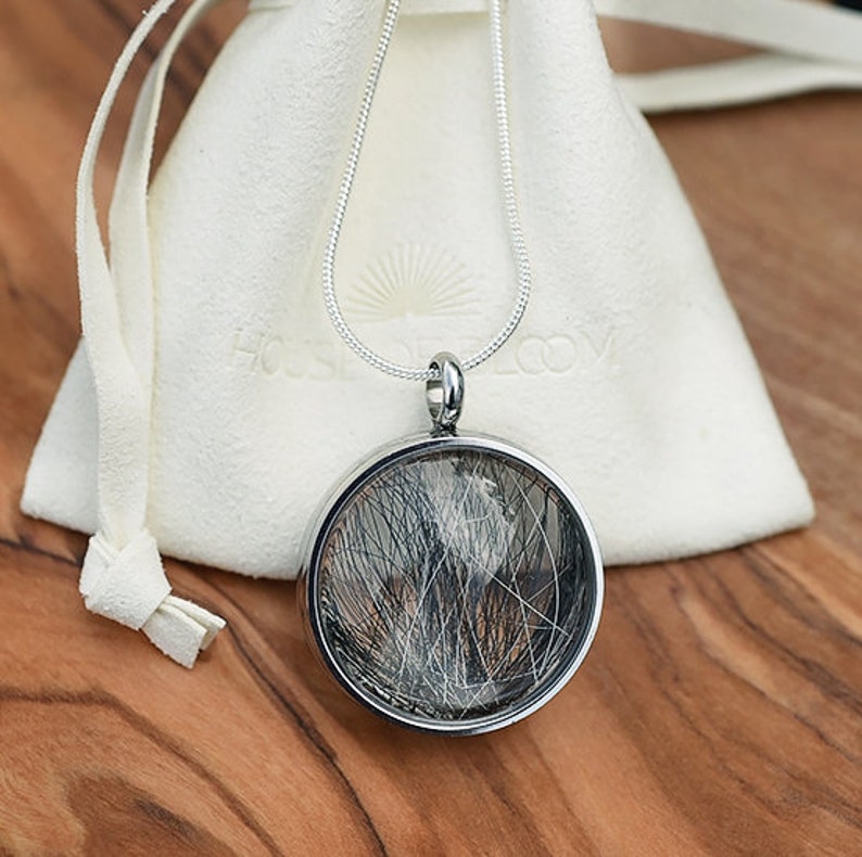 Glass Locket Pet Hair Living Memory locket Pendant Pet Etsy