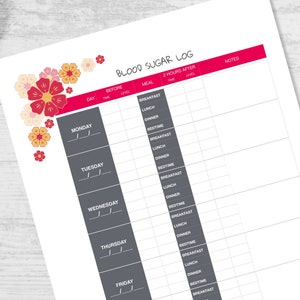 Blood Sugar Log Printable Chart for Diabetes Management Health Tracker Printable Glucose Log Medical Log Book image 1