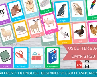 Learn French with English & French Bilingual Flash Cards Toys | Home schooling French Education Material | French Language Learning Material