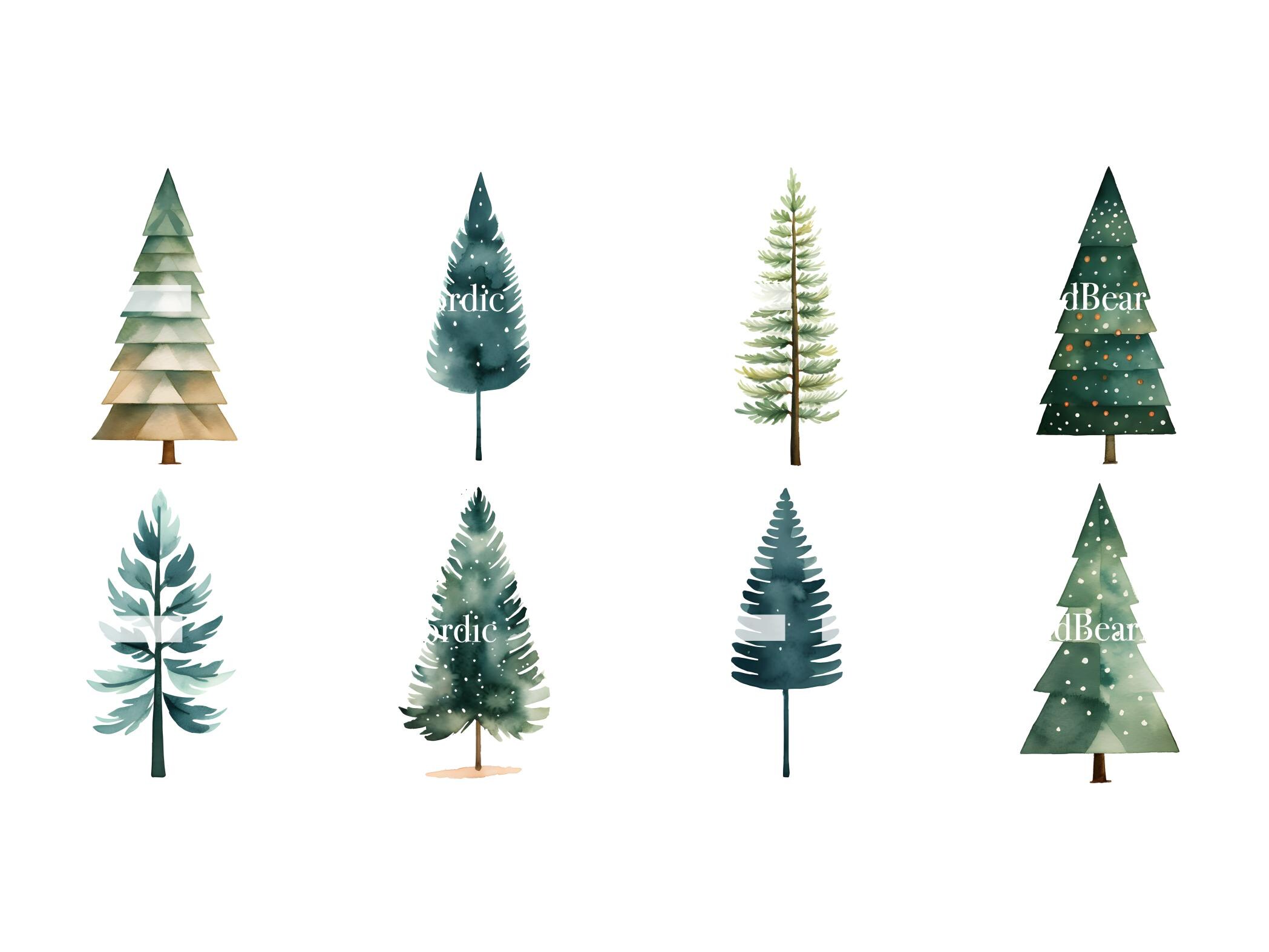 Watercolor Pine Tree Clipart: Woodland PNG Graphics (Commercial Use) image 5