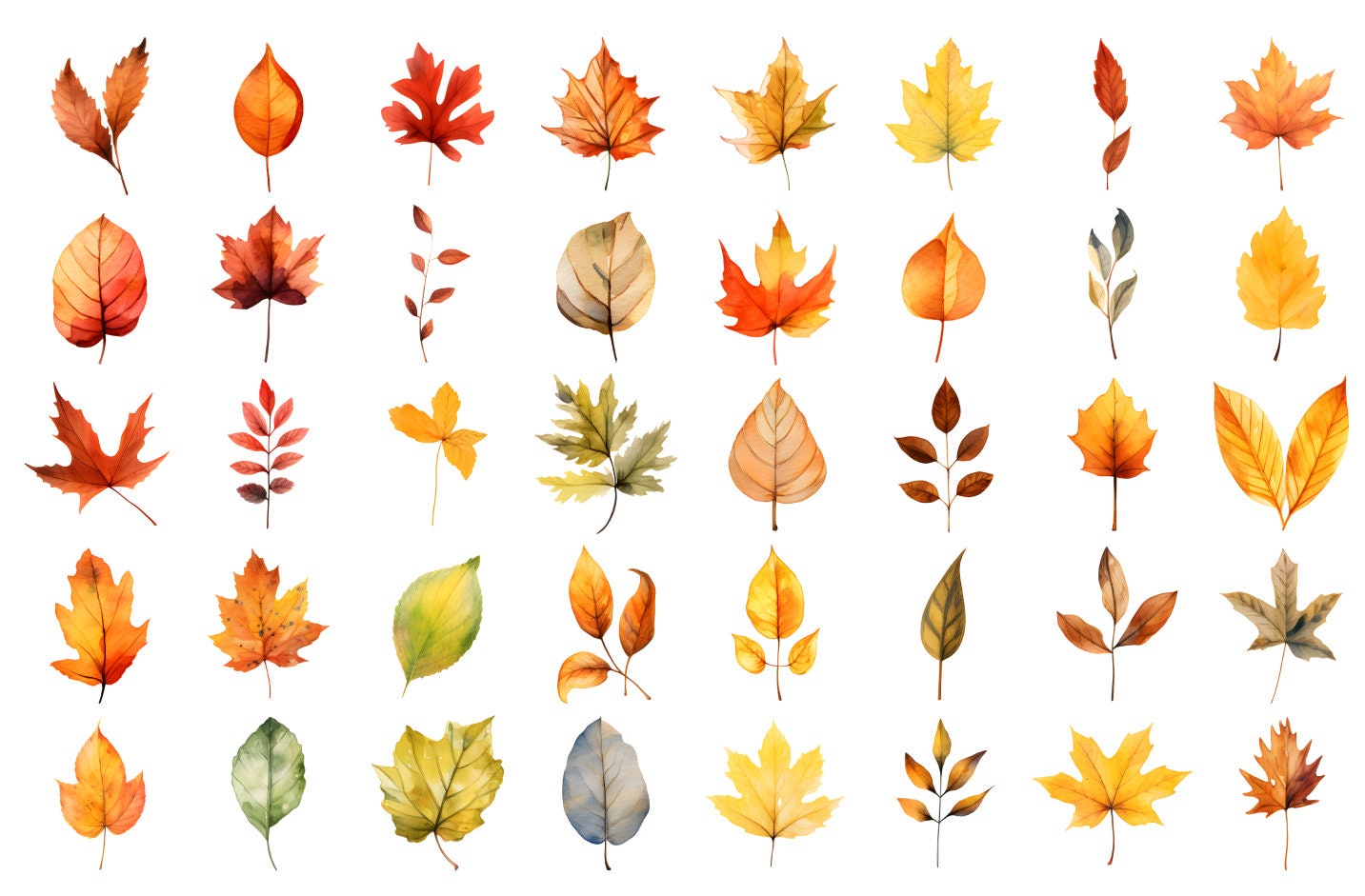 Watercolor Autumn Leaves Clipart: 88 Fall Foliage PNG (Commercial Use) image 4
