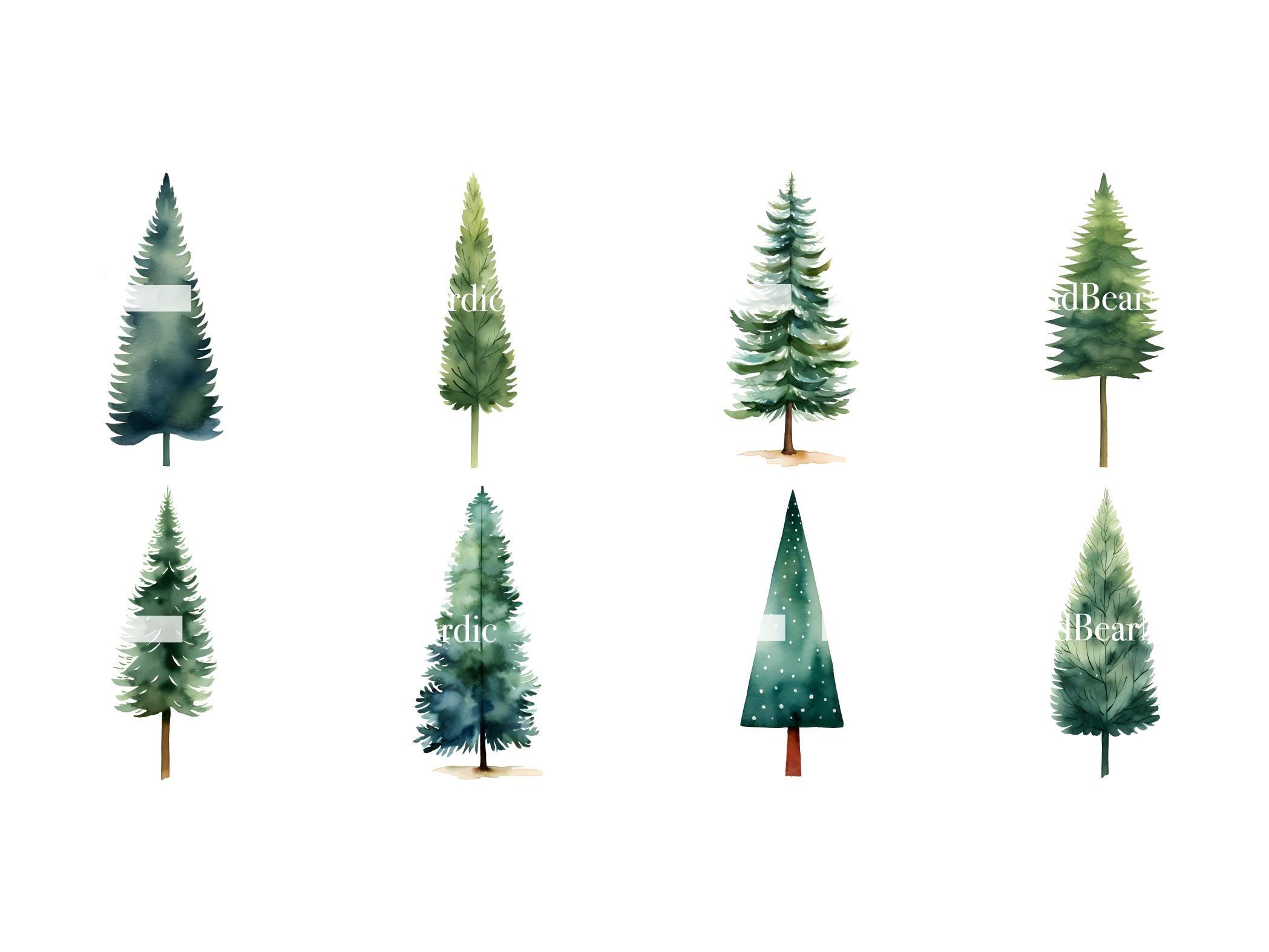 Watercolor Pine Tree Clipart: Woodland PNG Graphics (Commercial Use) image 4
