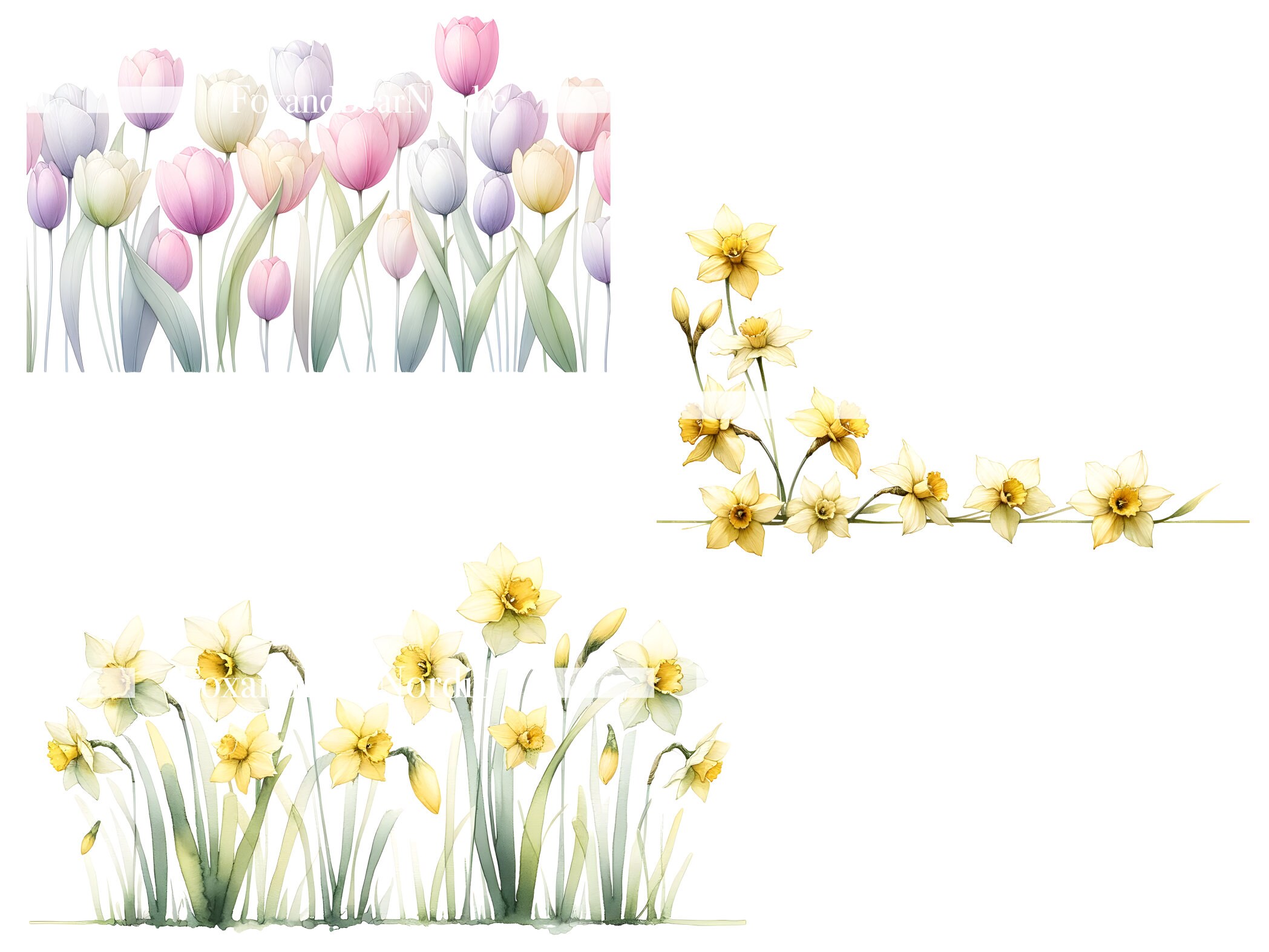 Watercolor Easter Border Clipart PNG Happy Easter Clip Art Pastel Easter PNG Border Watercolor Clipart Watercolor Clip Art Commercial Use image 8