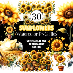 Tournesol aquarelle Clipart tournesol bordure fleur Clipart tournesol PNG printemps PNG été Clipart aquarelle Clip Art usage commercial