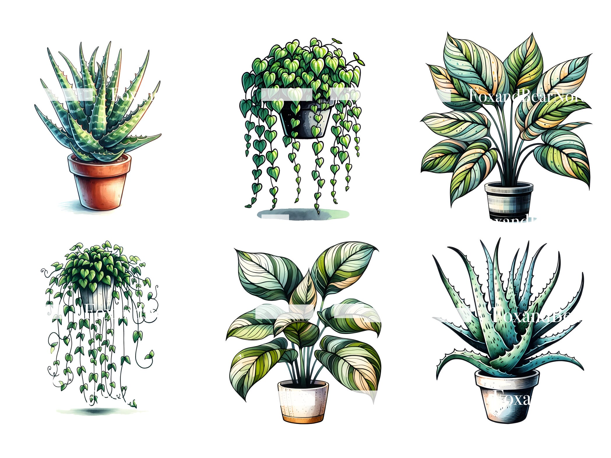 Watercolor Plants Clipart Succulent PNG Cactus Monstera Watercolor Clipart Watercolor Clip Art Digital Stickers Download Commercial Use image 6