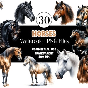 Aquarell Pferd Clipart PNG Aquarell Clipart PNG Aquarell Clip Art Kommerzielle Nutzung