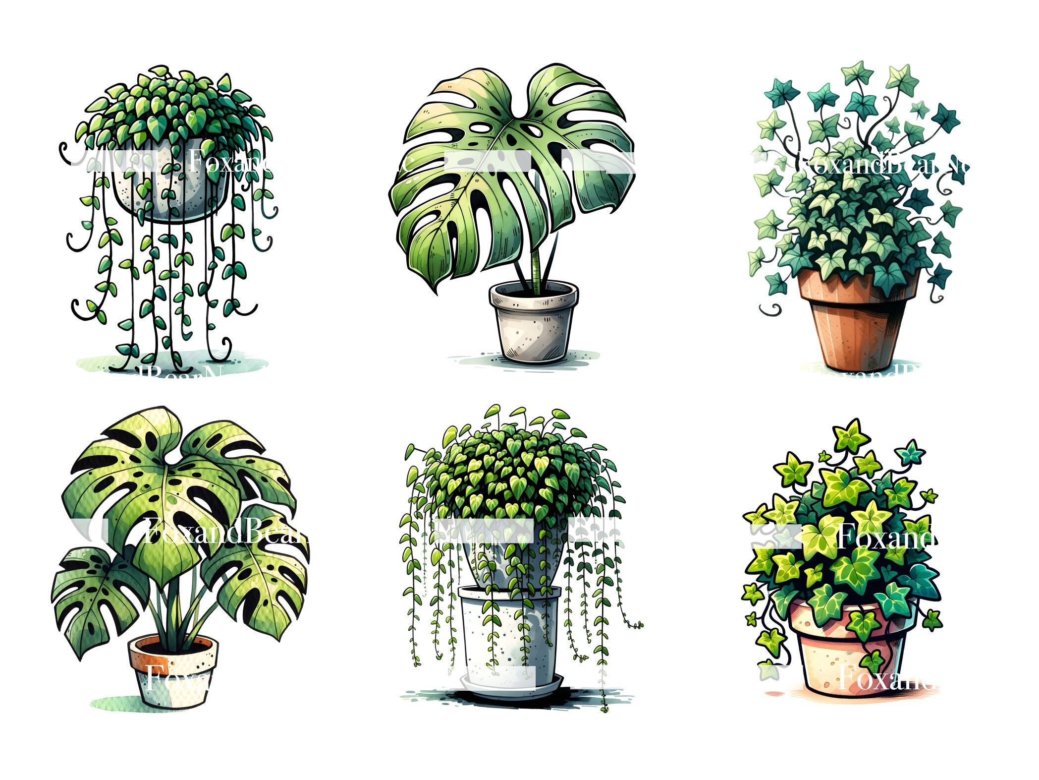 Watercolor Plants Clipart Succulent PNG Cactus Monstera Watercolor Clipart Watercolor Clip Art Digital Stickers Download Commercial Use image 7