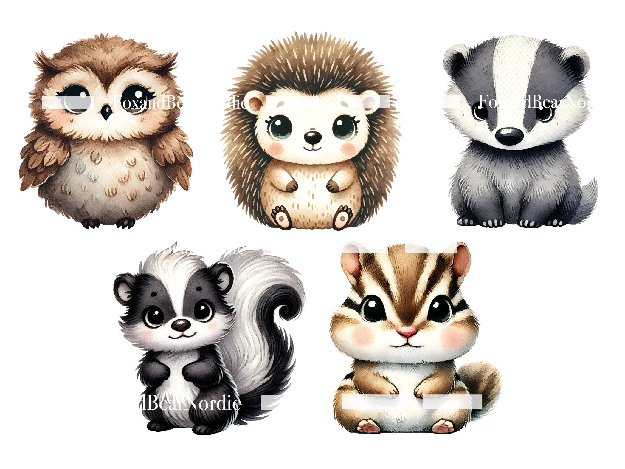 Woodland Animals Clipart: Nursery PNG Images (Commercial Use) image 5