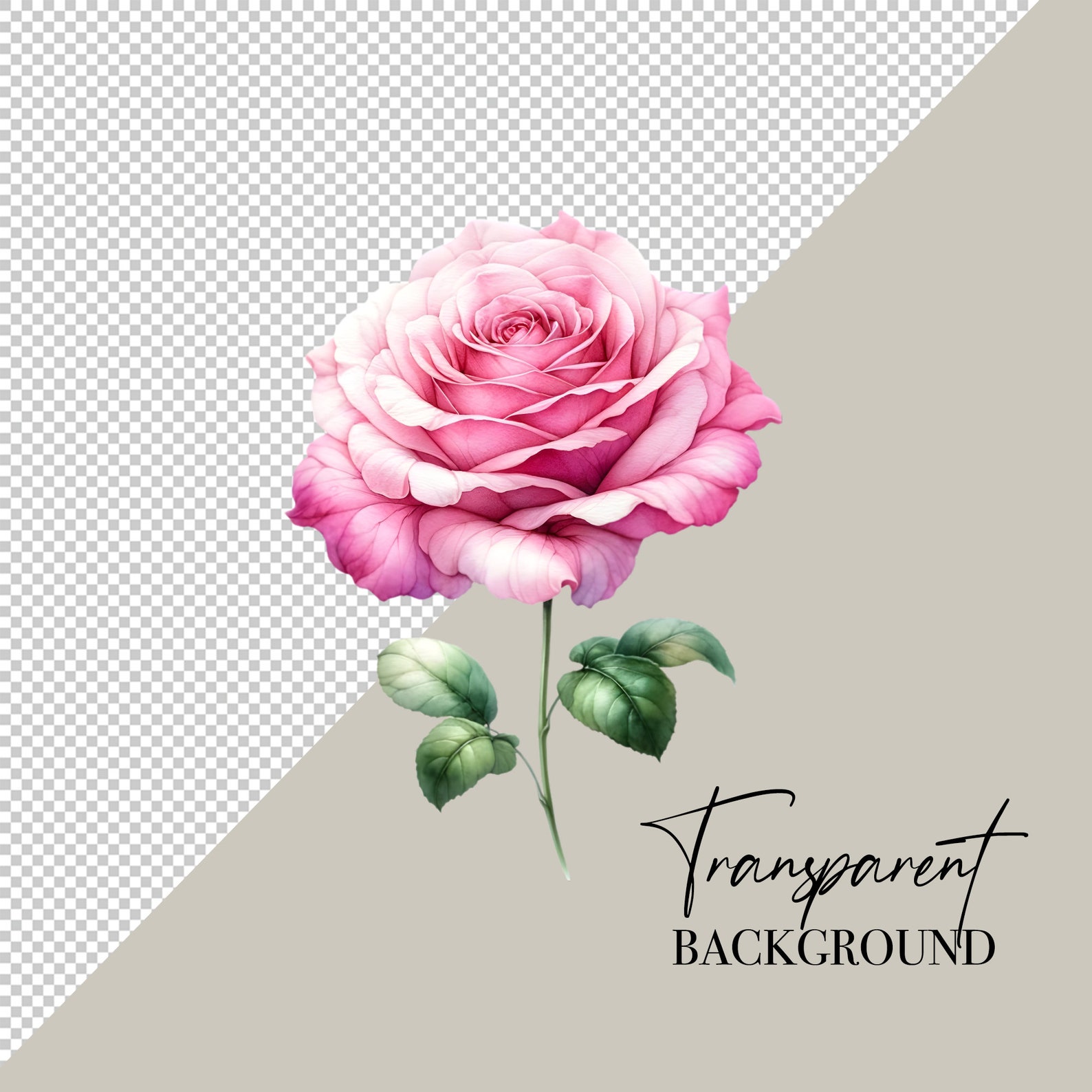 Watercolor Pink Roses Clipart Floral Clipart Watercolor Flowers Clipart ...