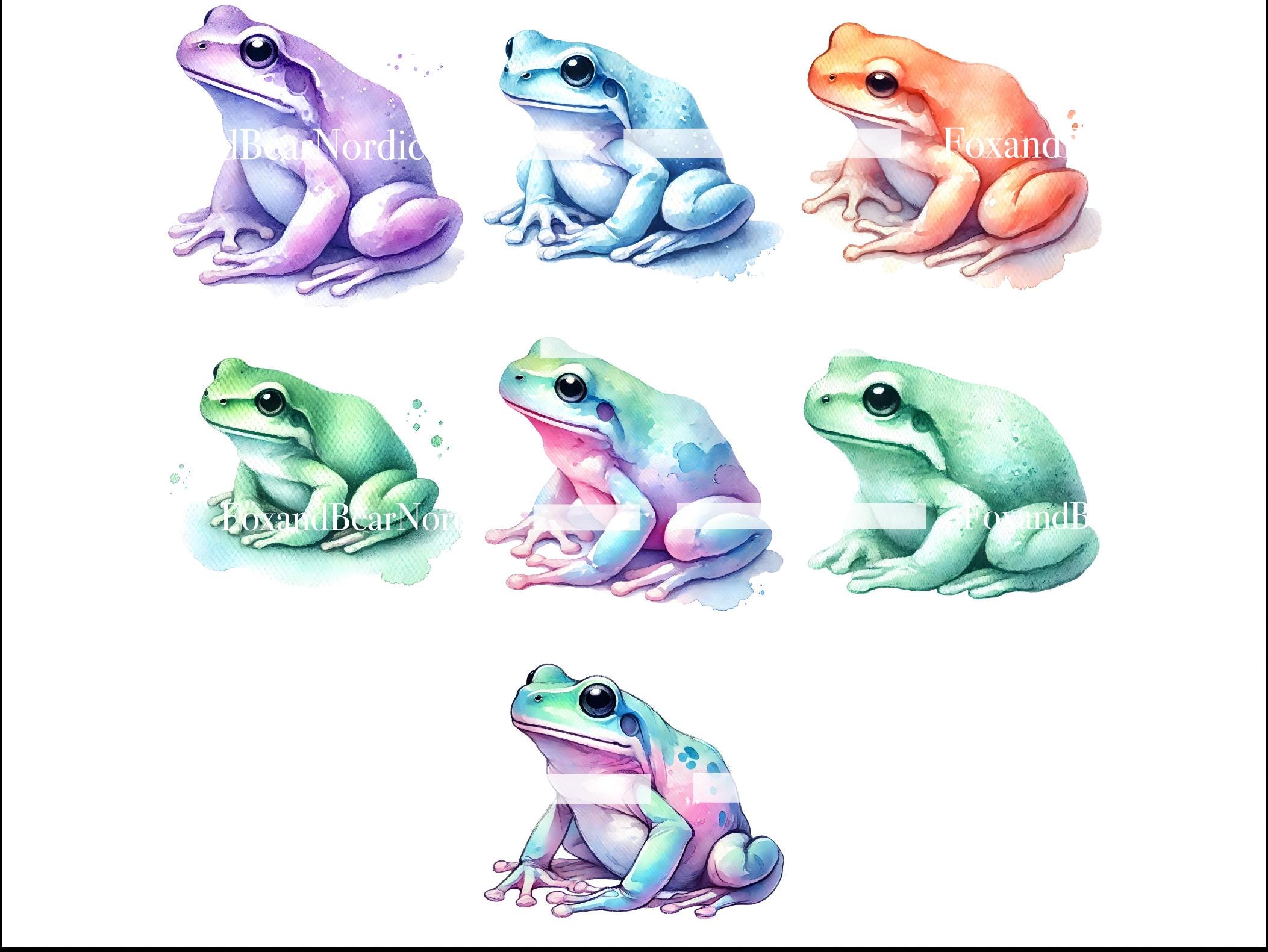 Watercolor Frog Clipart Animal Clipart PNG Kids Clipart Cute Frogs Toad Amphibian Birthday PNG Watercolor Clipart Clip Art Commercial Use image 4