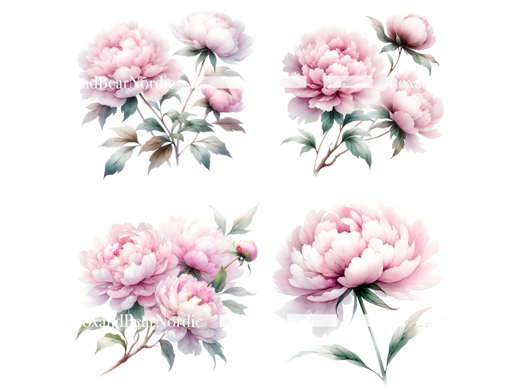 Watercolor Pink Peonies Clipart Floral Clipart Peony Flower Clipart Pink Floral Watercolor Clipart Wedding Clipart Mothers Day Clipart image 6