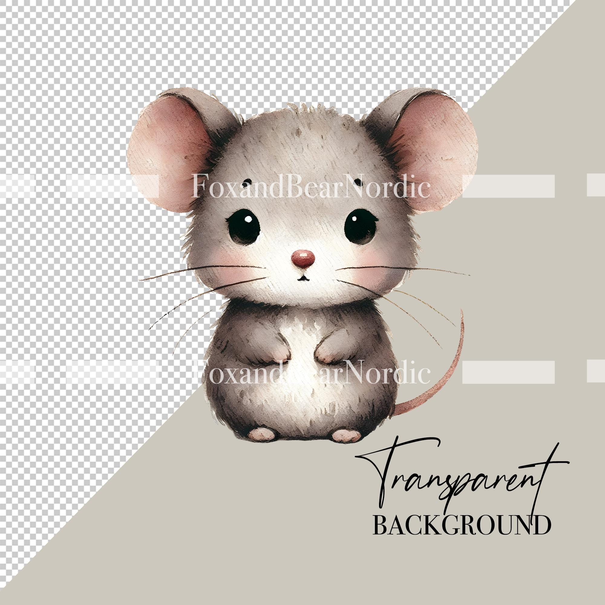 Woodland Animals Clipart: Nursery PNG Images (Commercial Use) image 3