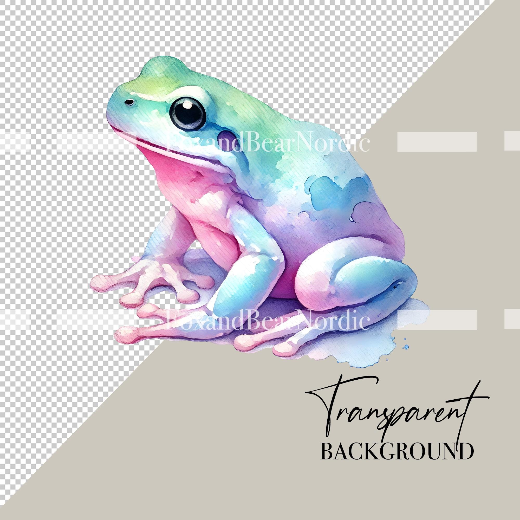 Watercolor Frog Clipart Animal Clipart PNG Kids Clipart Cute Frogs Toad Amphibian Birthday PNG Watercolor Clipart Clip Art Commercial Use image 3