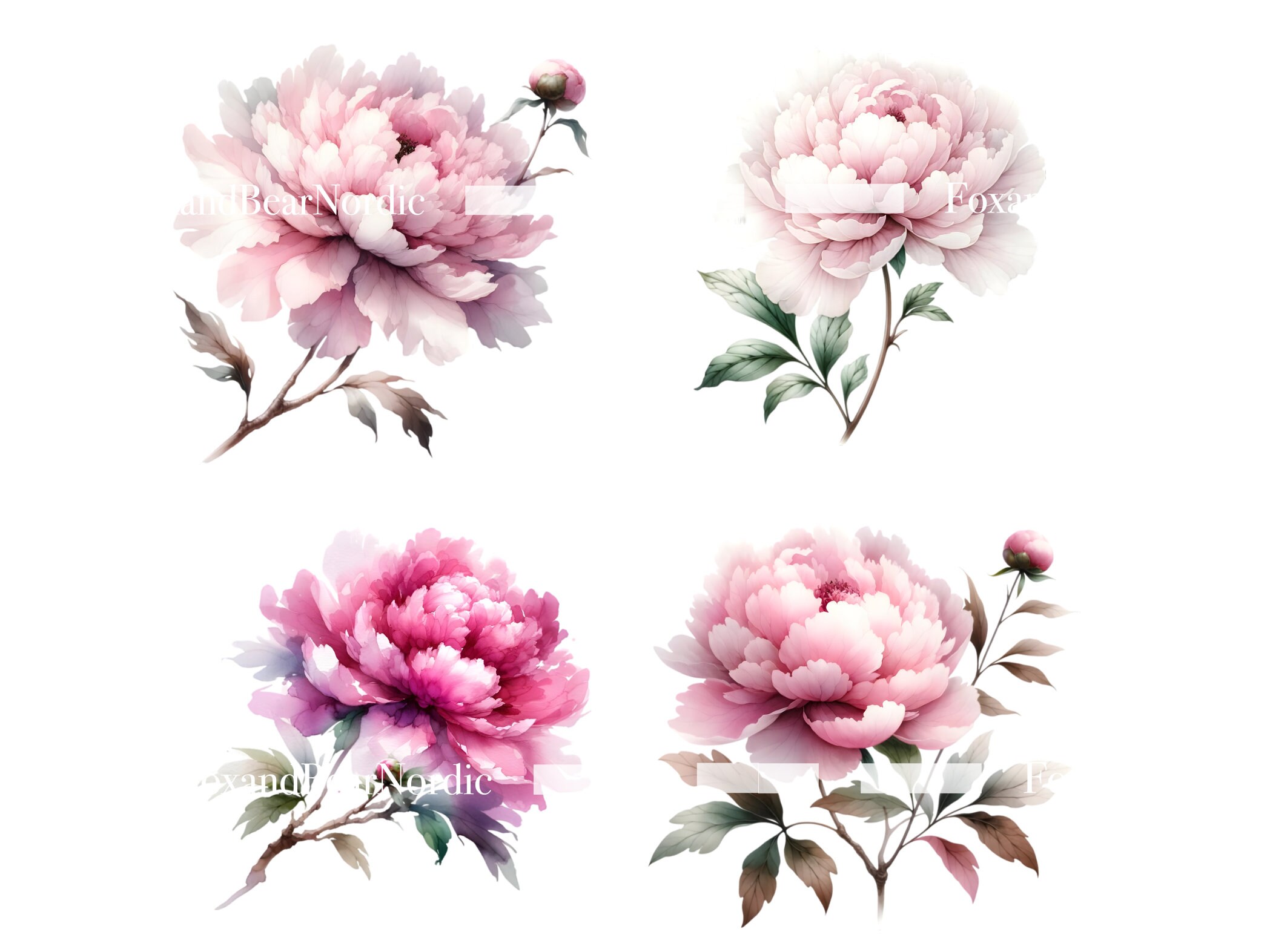 Watercolor Pink Peonies Clipart Floral Clipart Peony Flower Clipart Pink Floral Watercolor Clipart Wedding Clipart Mothers Day Clipart image 7