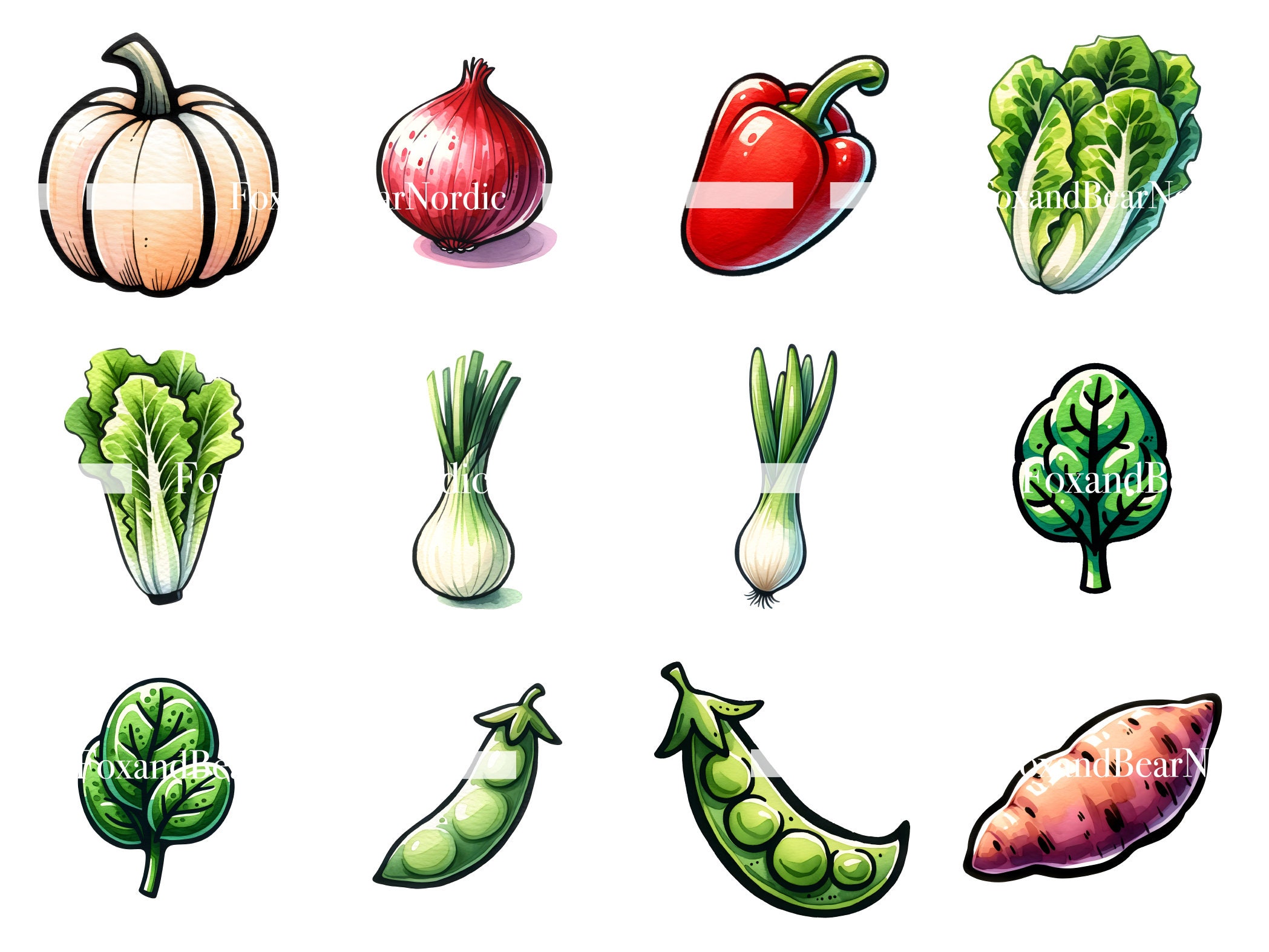 Digital Vegetable Clipart Farmers Market PNG Mushroom Tomato Broccoli Carrot Clipart Watercolor Clipart Watercolor Clip Art Commercial Use image 5