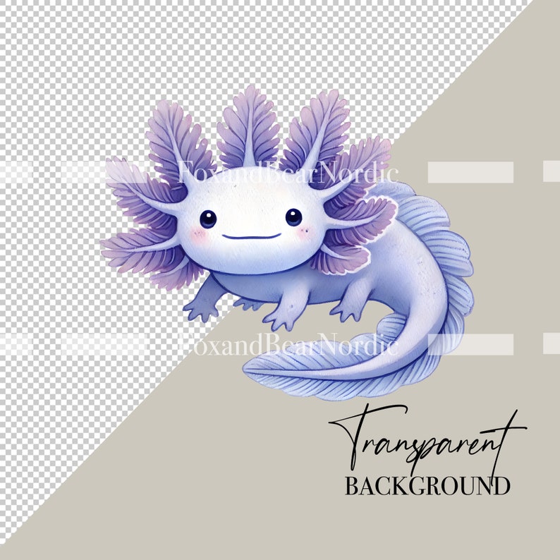 May include: A cartoon illustration of a light blue axolotl with purple feathery gills. The axolotl is smiling and has large, black eyes. The background is transparent.
