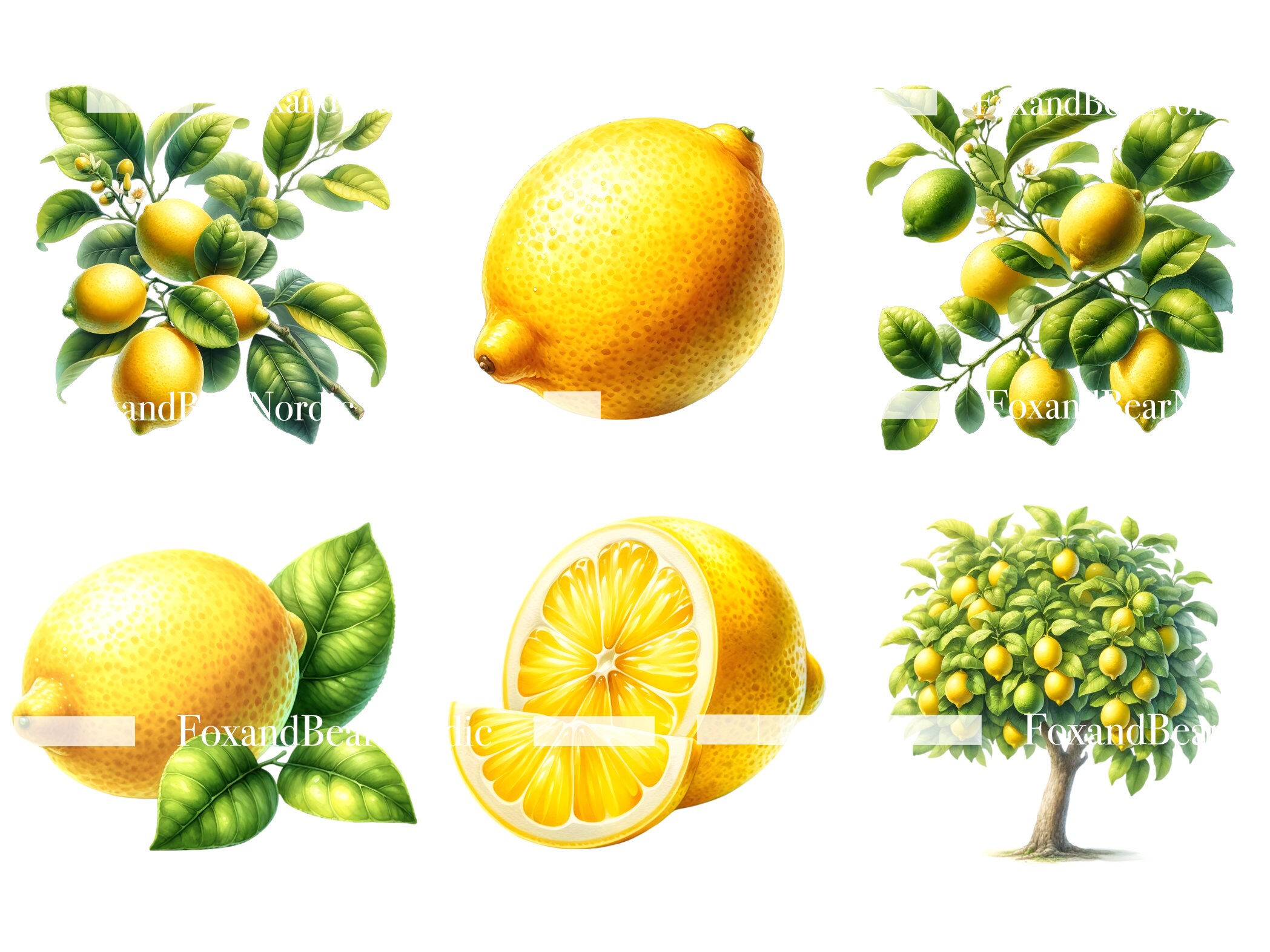 Watercolor Lemon Clipart Lemon PNG Summer Clipart Lemon Tree Wreath Watercolor Clipart Watercolor Clip Art Digital Stickers Commercial Use image 6